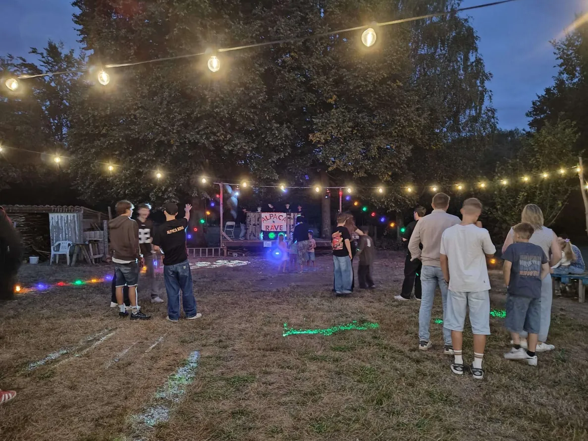 Professionele DJ-setup